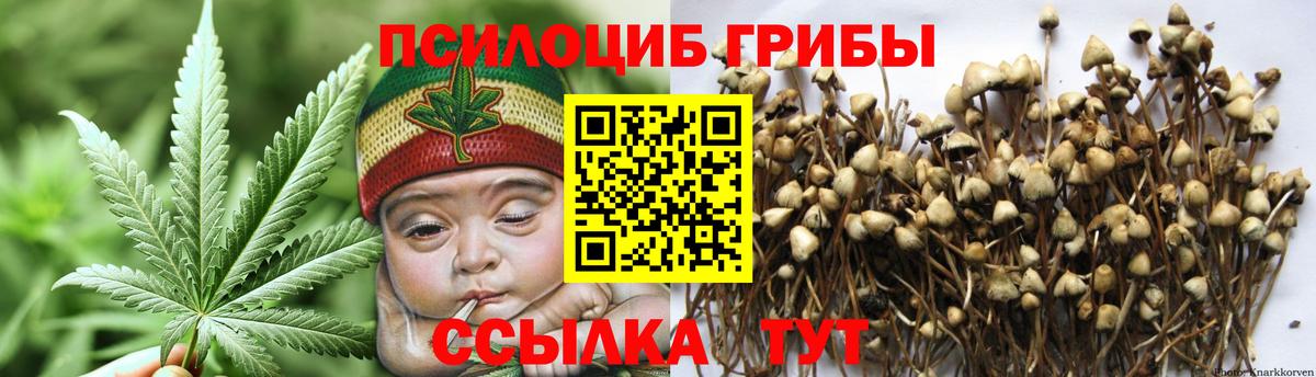 Псилоцибиновые грибы GOLDEN TEACHER  Вход с VPN  Верхняя Пышма 